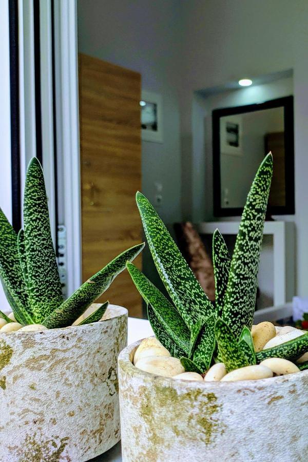 Gloria Apartment Kota Zakynthos Bagian luar foto
